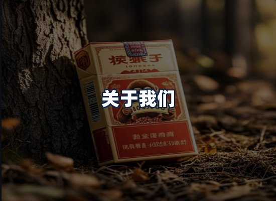 关于我们